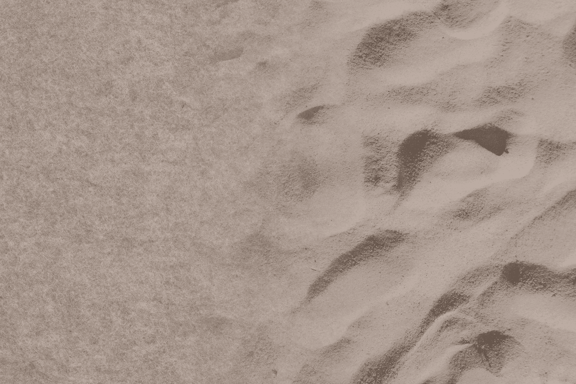 Kleur NL vilt Sandy Beach 61