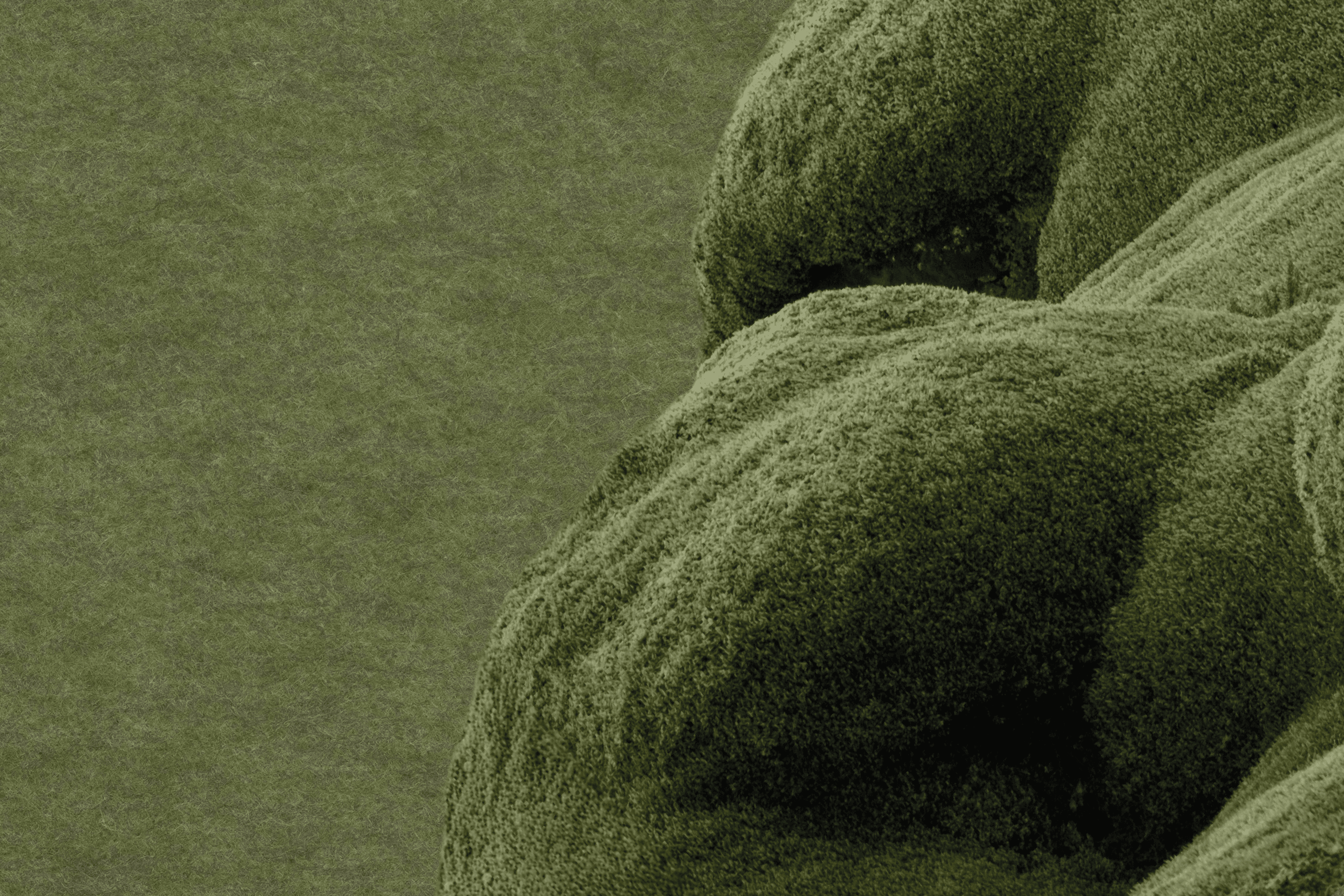 Kleur NL vilt Moss 19