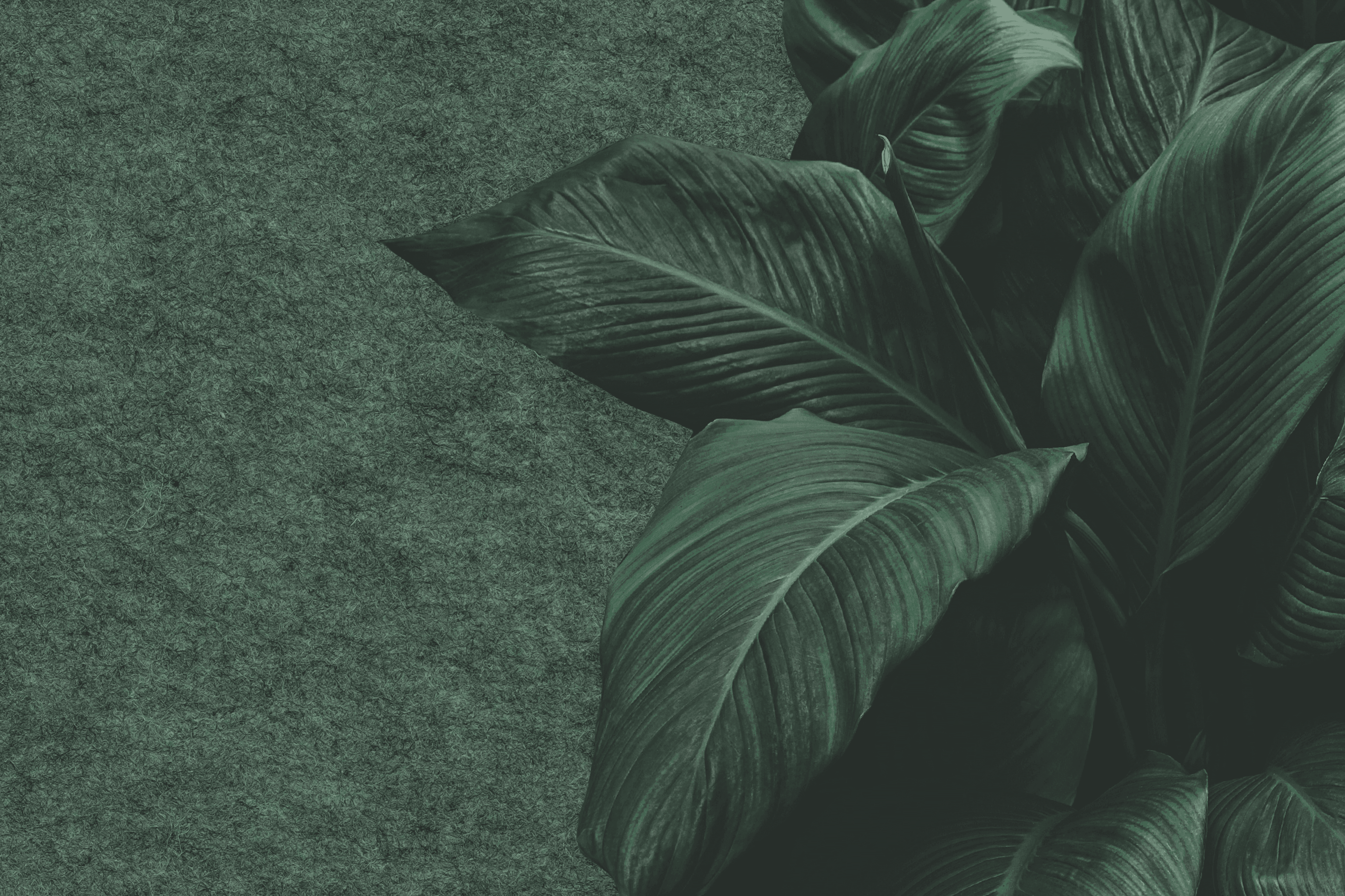 Kleur NL vilt Leaf Green 24