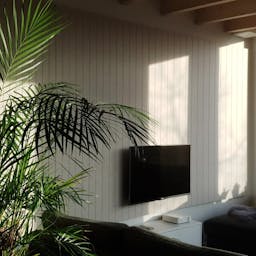 Akoestisch PET-vilt wandbekleding | Zelfklevend wandpaneel | EASYfelt Japandi in huiskamer